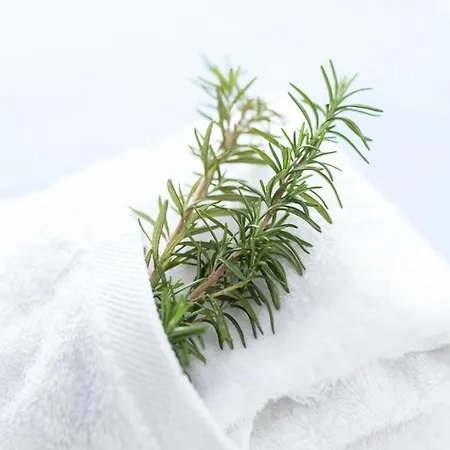 Apartament Turisticos Casa Morocho Alagon Del Rio