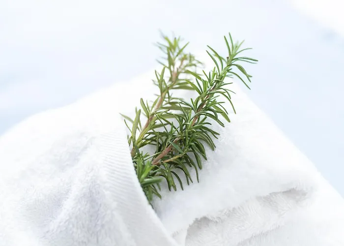 Apartamento Turísticos Casa Morocho Alagon Del Rio